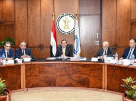 «وزير البترول» : تحولات هائلة في صناعة الغاز الطبيعي في مصر