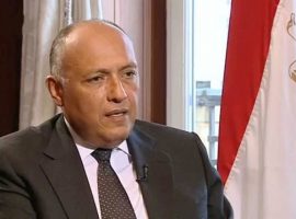وزير الخارجية عن «سد النهضة» : قضية وجودية لا تهاون فيها بكل الوسائل المتاحة