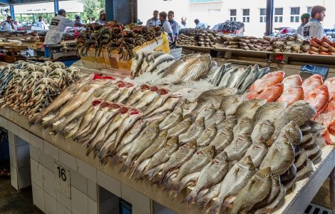 أسعار السمك اليوم 16-1-2022 فى مصر