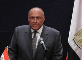 وزير الخارجية يتحدث عن علاقات مصر مع قطر وليبيا وفلسطين واليونان (فيديو)