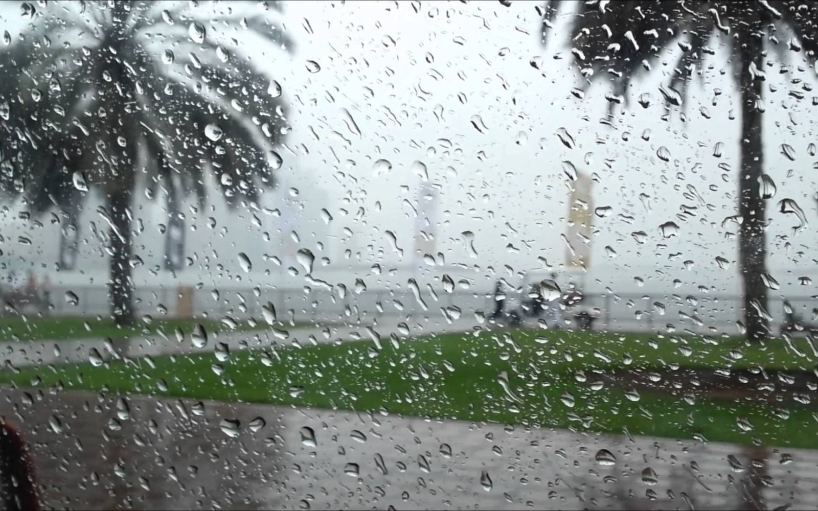 «أمطار وشبورة».. تعرف على حالة الطقس بمحافظات مصر 
