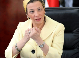 وزيرة البيئة تعلن عام 2020 بداية الاستثمار الأخضر في مصر(تفاصيل حصاد العام)