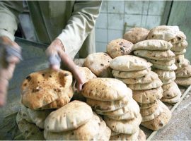 متحدث «التموين» : الوزارة تحركت في إطار المخصص المالي المحدد لها بمنظومة الخبز المدعم