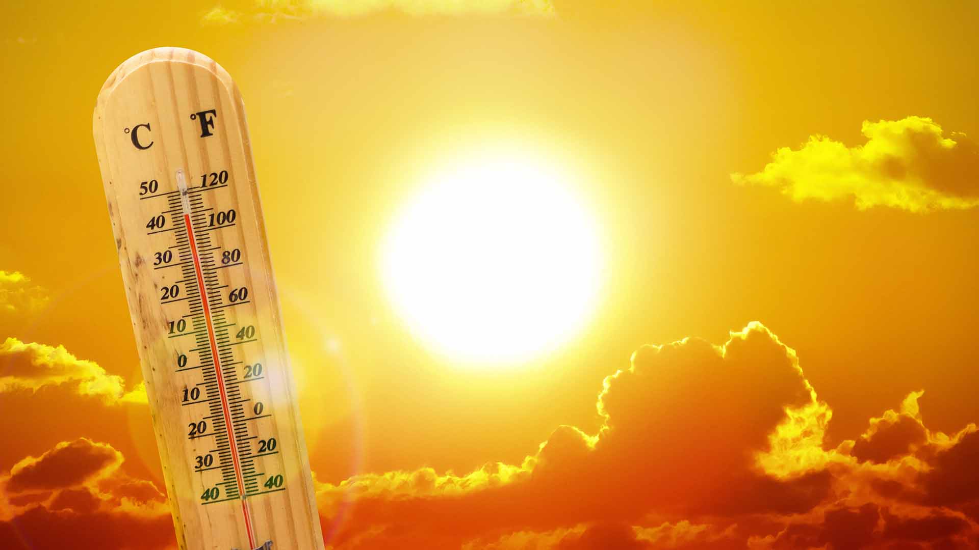 درجات الحرارة اليوم الثلاثاء 7-7-2020 في مصر - جريدة المال