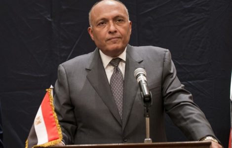 وزير الخارجية يبحث مع نظيره الجزائري مستجدات الملفات الإقليمية