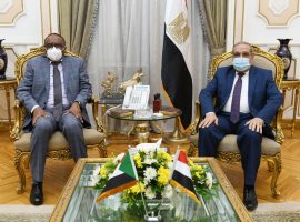 وزير الإنتاج الحربى يبحث التعاون مع مدير الصناعات الدفاعية السودانية