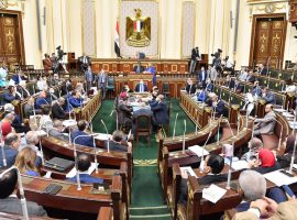 «شباب البرلمان»: تأخر اعتماد لائحة اللجنة الخماسية تسبب في مشكلات بالرياضة المصرية