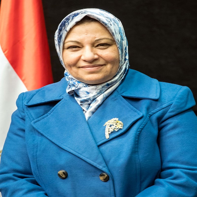 صباح مشالى رئيس الشركة المصرية لنقل الكهرباء